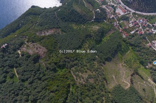 Fantastic Land property with views to Parga