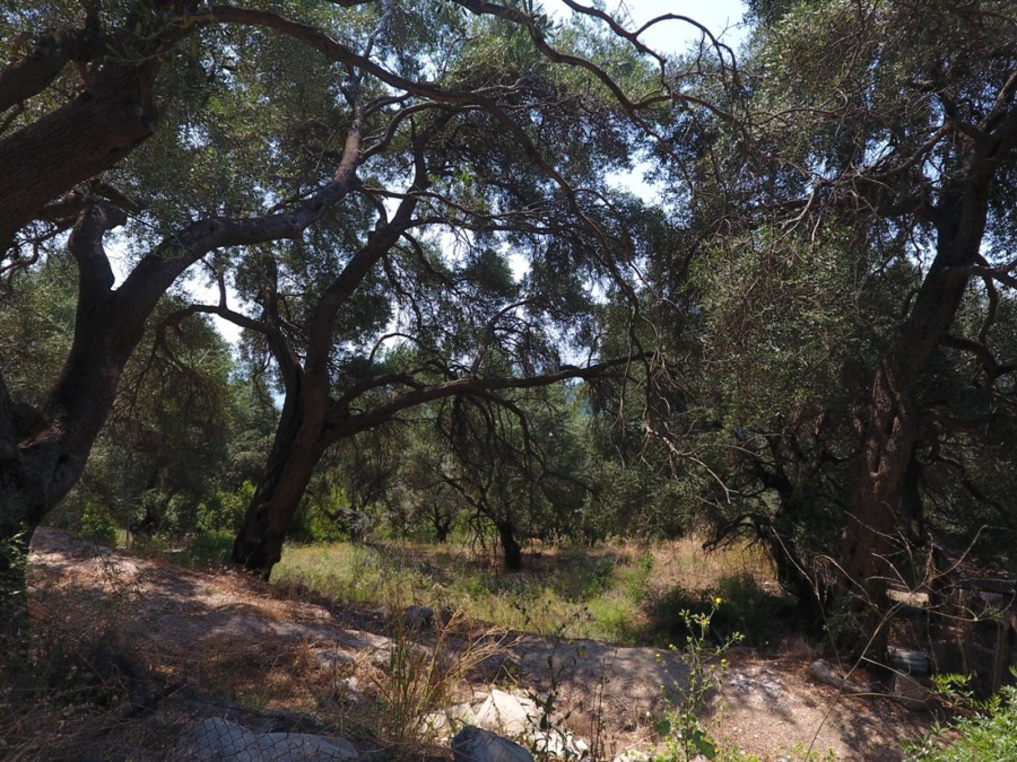 Ακίνητο με θέα τον κόλπο του Βάλτου και την Πάργα