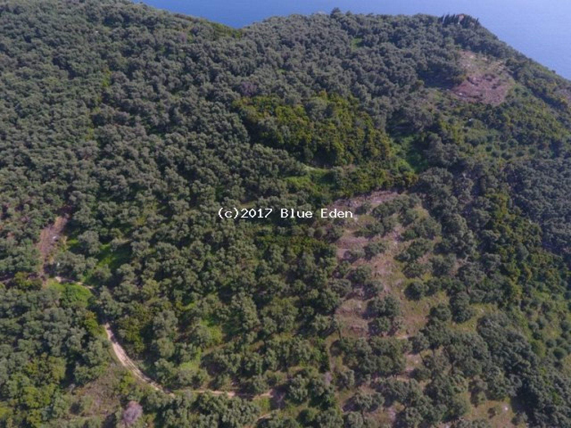 Fantastic Land property with views to Parga