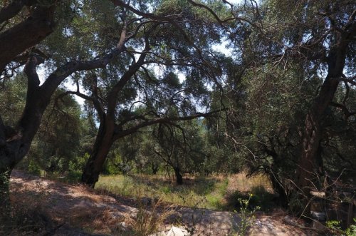 Ακίνητο με θέα τον κόλπο του Βάλτου και την Πάργα